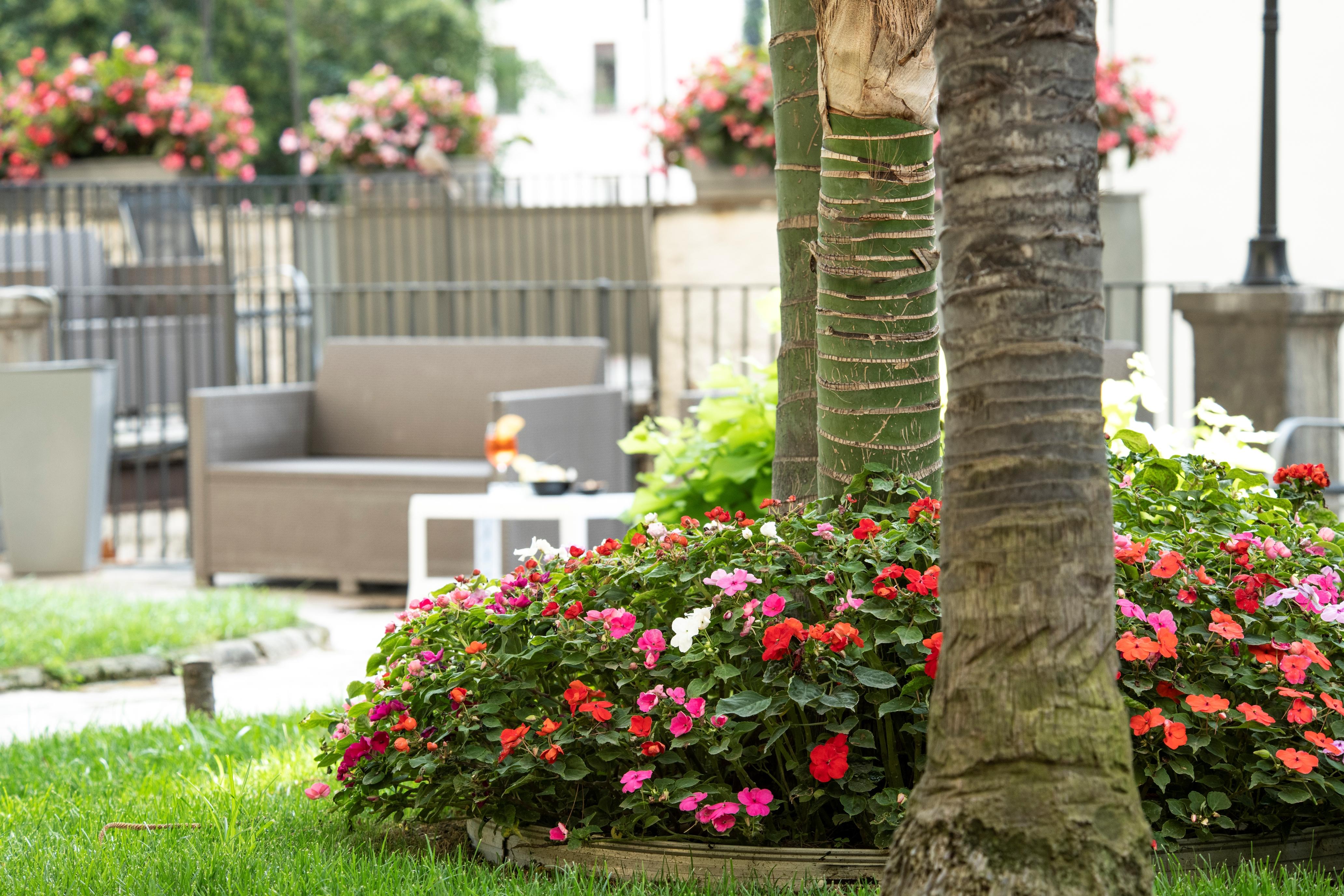 Hotel Elisio Hotel&spa